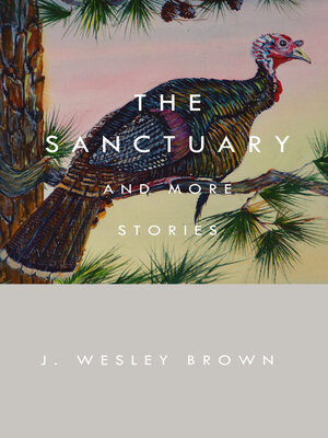 cover image of The Sanctuary: and More Stories
